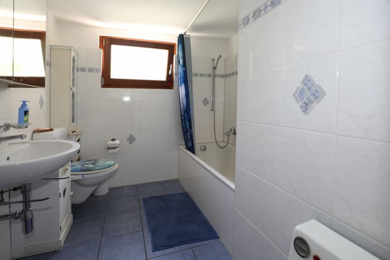 Grosses Rustico in ruhiger Lage im schönen Verzascatal (14)