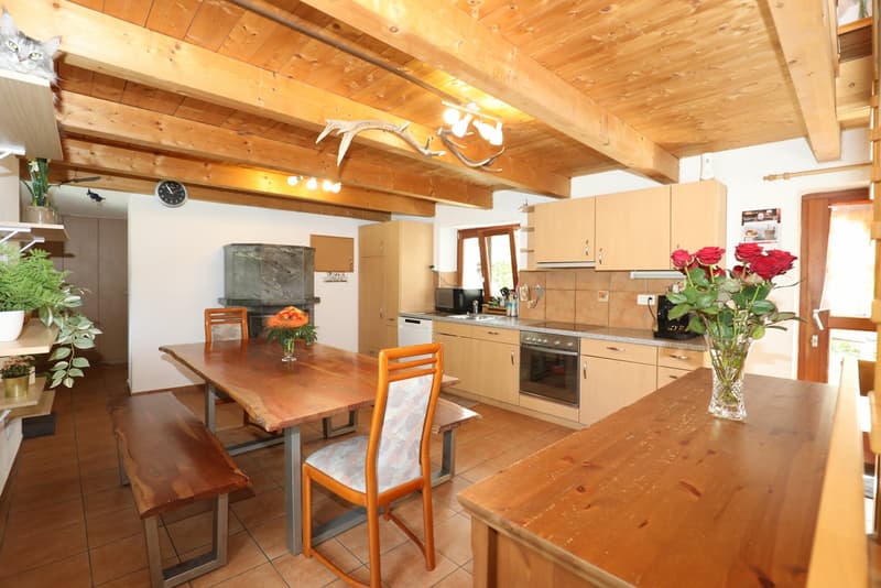 Grosses Rustico in ruhiger Lage im schönen Verzascatal (7)