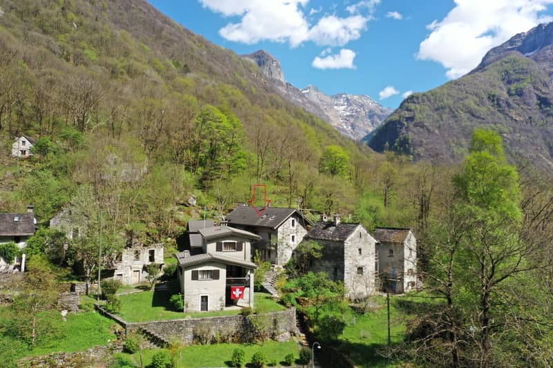 Grosses Rustico in ruhiger Lage im schönen Verzascatal (1)