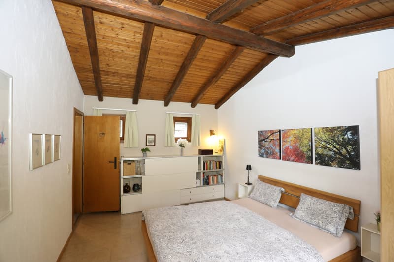 Schönes Rustico in ruhiger Lage und schönem Rebberg in Medeglia (13)