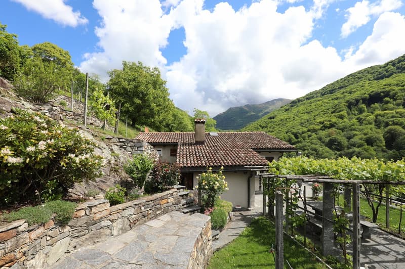 Schönes Rustico in ruhiger Lage und schönem Rebberg in Medeglia (4)