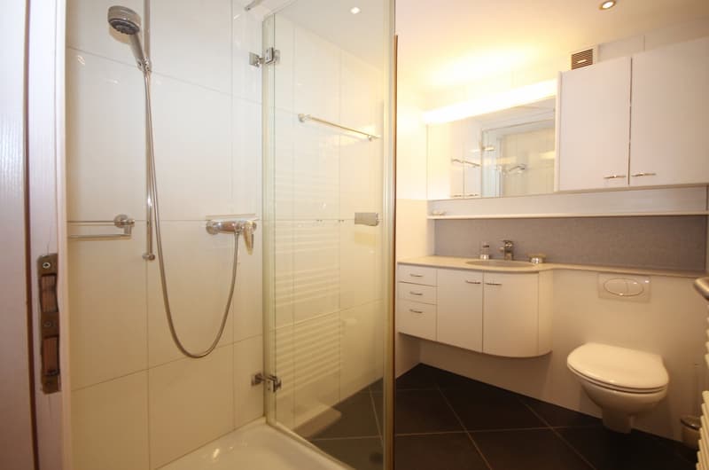 Charmante 2.5-Zimmer-Wohnung mit Balkon und Bergblick in Ascona (14)