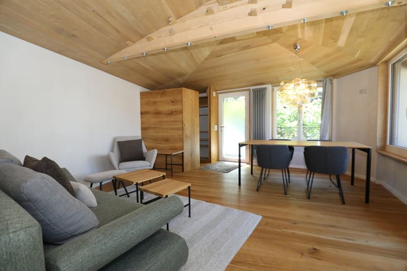 Attraktive, komplett renovierte 2.5-Zimmer-Maisonette-Wohnung (6)
