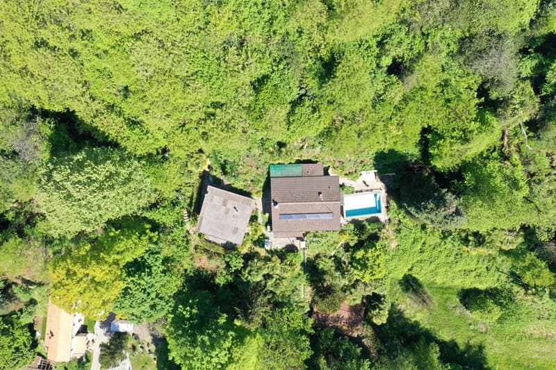 Einfamilienhaus + grosses Gästehaus mit Swimmingpool und herrlicher Aussicht (4)