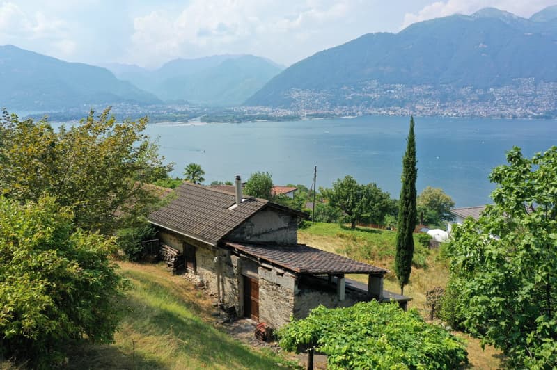 Komfortables Rustico mit Panoramasicht auf See und Berge im Gambarogno (5)