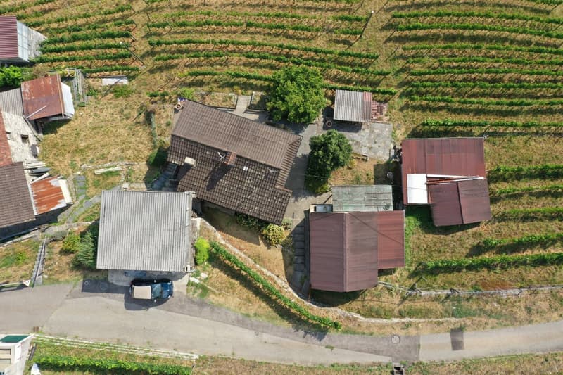 Haus inmitten von Rebbergen und schöner Weitsicht (17)