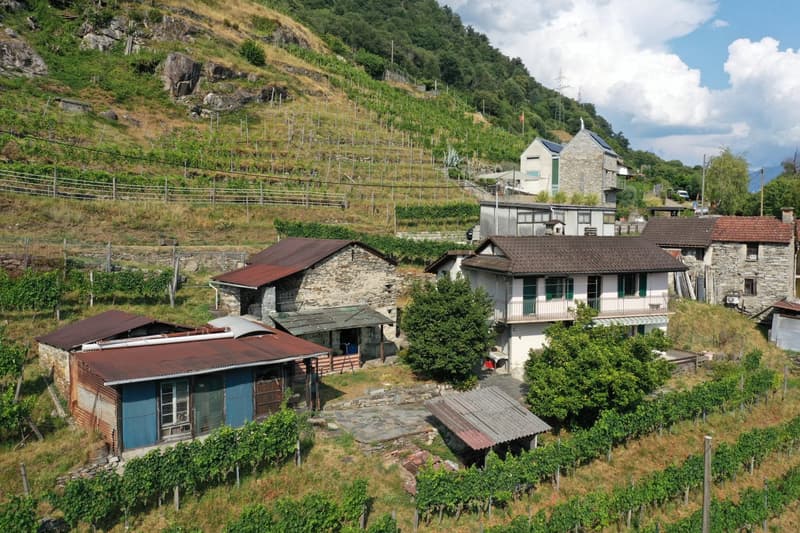 Haus inmitten von Rebbergen und schöner Weitsicht (3)