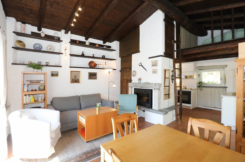 Rustico mit allem Komfort und Garten in Lugano Bogno (8)