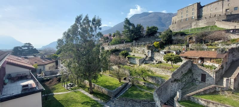 Aerial view of a village, traditional houses, terraced hillside, mountains in the background, green gardens and pathways