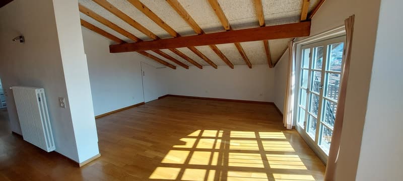 empty room, wooden floor, white walls, wooden ceiling, glass door, radiator