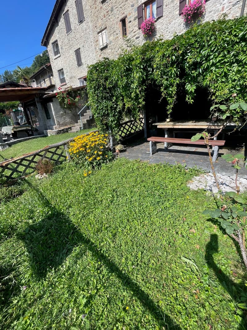 Stone building with flower boxes, green vines, and a grassy outdoor area with a wooden bench