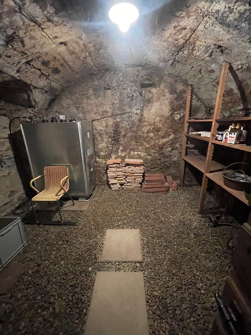 Underground room with stone walls, a refrigerator, shelves with various items, and a stack of wooden boards or planks. The room is dimly lit by a single light bulb.