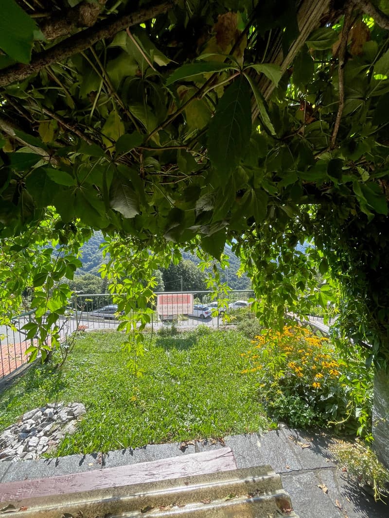 green garden, flowers, trees, rocks, paved pathway, fence, sign, mountain in the distance, cars parked on the street