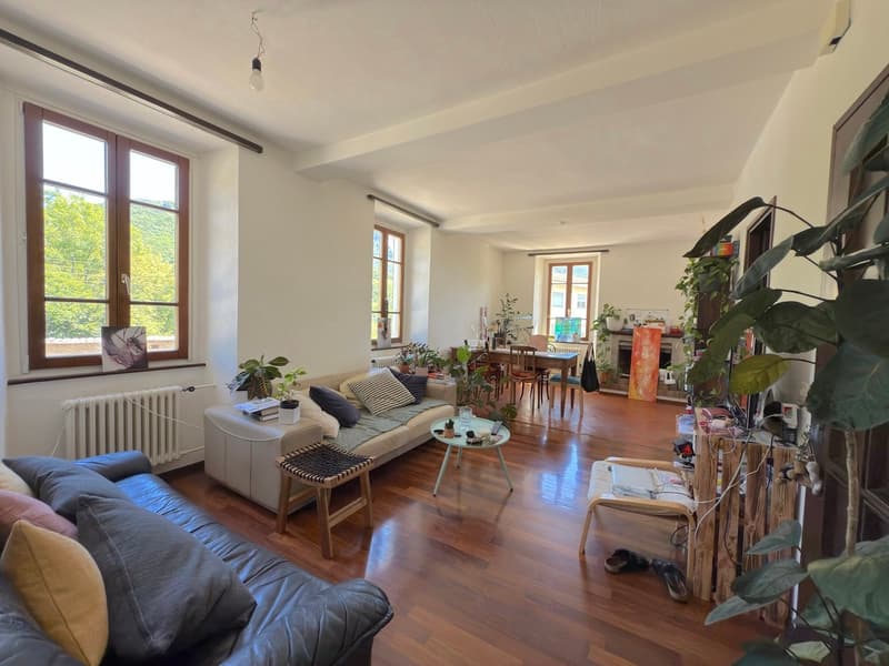 Spacious living room with large windows, hardwood floors, comfortable sofas, coffee table, and various potted plants. The room has an open layout that connects to a dining area.