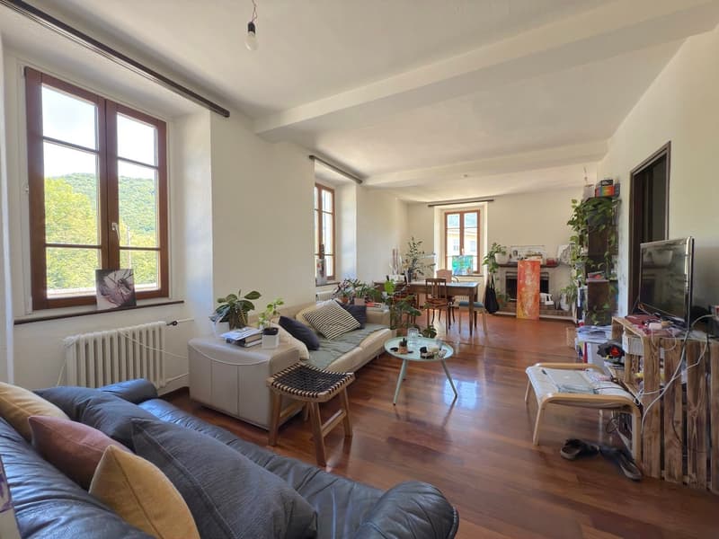 Spacious living room with large windows, hardwood floors, gray sofa, coffee table, dining area, and various plants and decor elements.