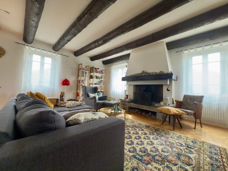 Cozy living room with exposed wooden beams on the ceiling, a large fireplace, bookshelves, and a mix of comfortable seating including a sofa, armchairs, and a coffee table. The room has a warm, rustic feel with patterned rugs and decorative accents.
