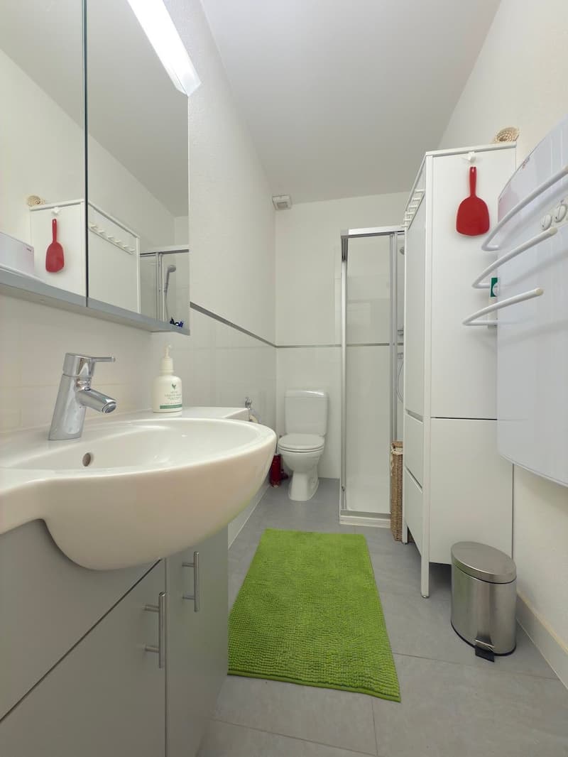 white tiled wall, white sink, silver faucet, white toilet, green rug, stainless steel trash can, stainless steel laundry rack