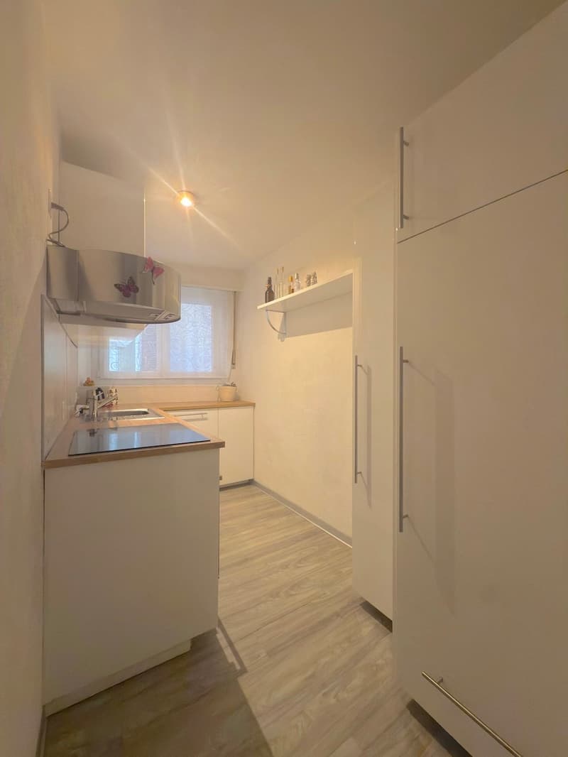 kitchen area with sink, stove, shelves, refrigerator, and an exhaust hood