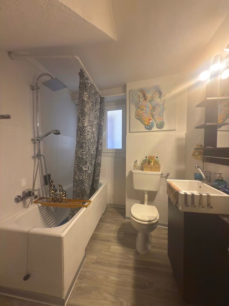 Bathroom with white tile, bathtub with shower, sink, toilet, wooden floor, window with zebra art painting