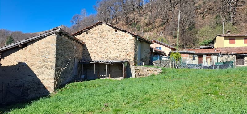 Quì regna la pace (4)