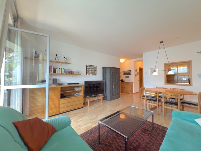 wooden floor, blue sofas, large windows, glass table, wooden dining table, TV stand, dining chairs, ceiling lamps, carpet