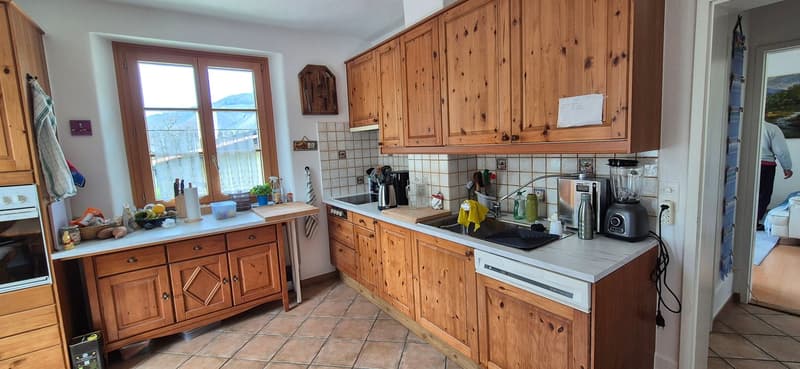 kitchen with wooden cabinets, white countertops, sink, dishwasher, toaster, blender, coffee maker, window, plants, and various kitchen items