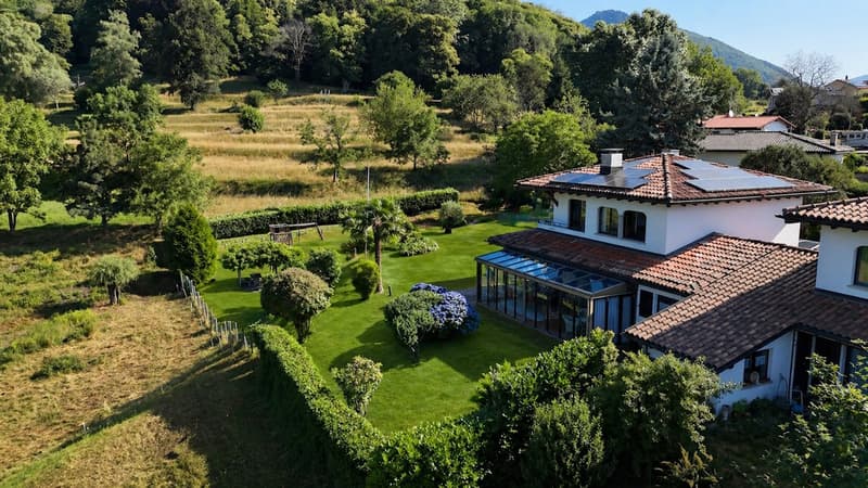 Circondati dal verde (2)