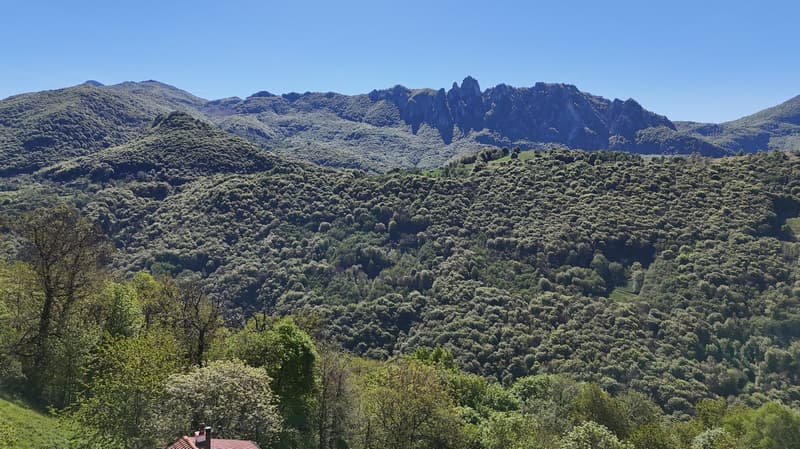Appartamento di charme in casa Bifamiliare con giardino e stupenda vista lago e montagne (3)