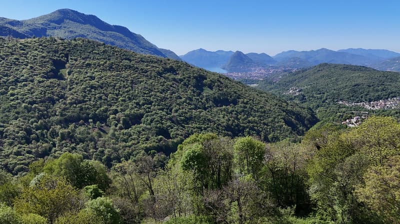 Appartamento di charme in casa Bifamiliare con giardino e stupenda vista lago e montagne (1)