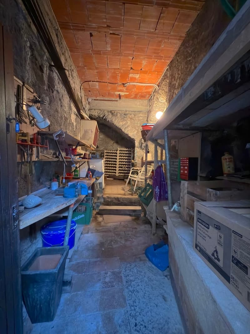 Casa unifamiliare nel nucleo di Bigorio (20)