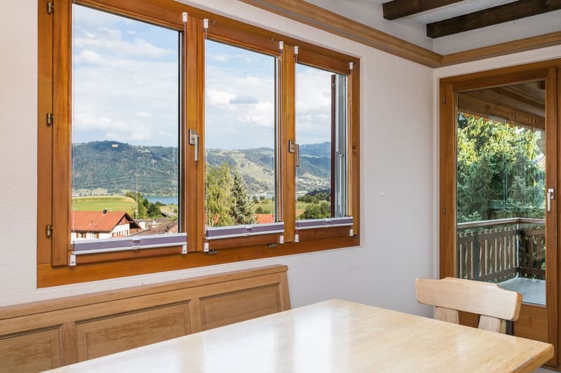 Blick aus dem Küchenfenster auf den Zugersee und rechts Ausgang inkl. Katzentörli zum gedeckten Balkon..