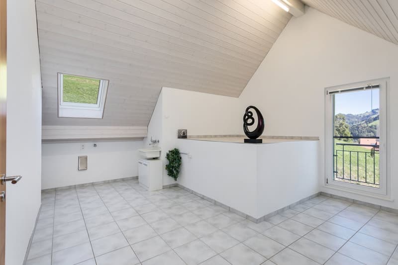 Dieser knapp 34m2 grosse, beheizte Hobbyraum hat einen Anschluss für WM/TU, sowie ein Lavabo mit Kalt-/Warmwasseranschluss...