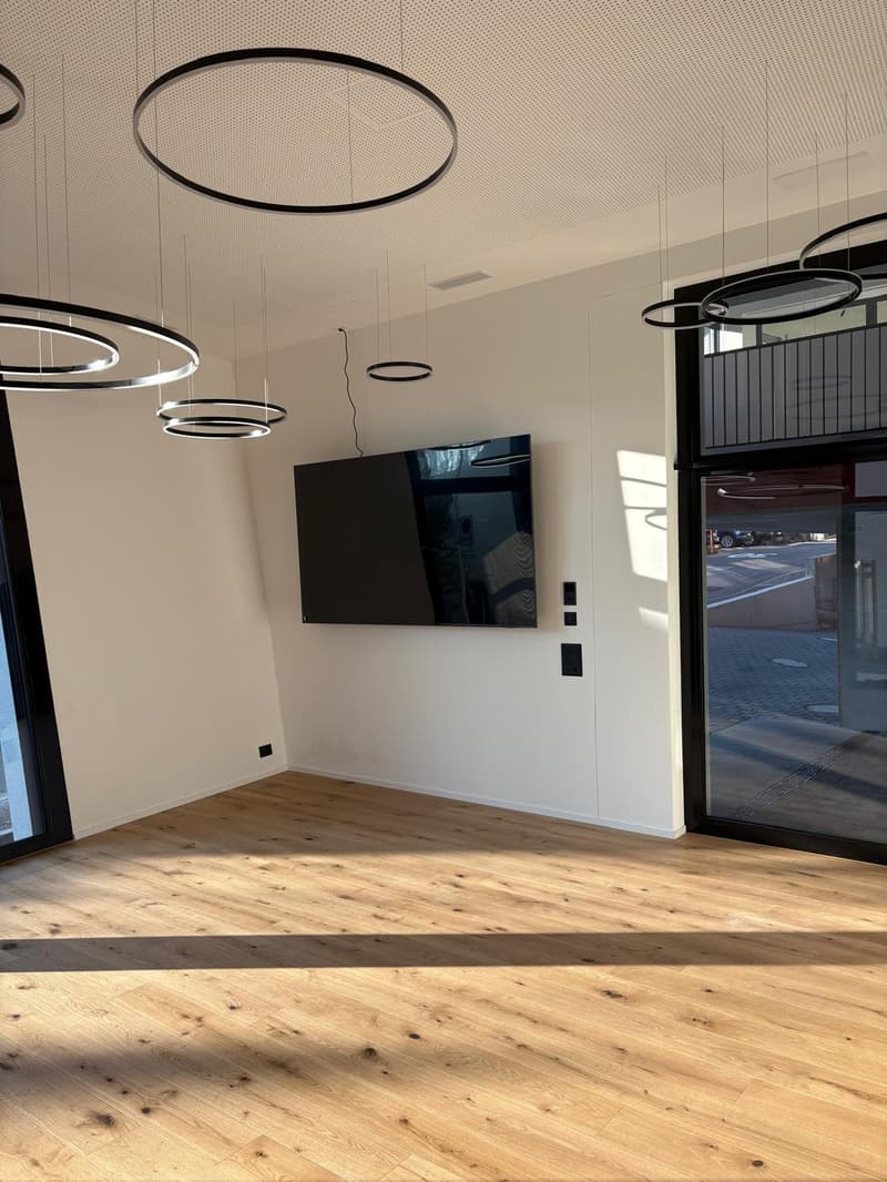 Moderne Gewerbefläche im schönen Menzingen (4)