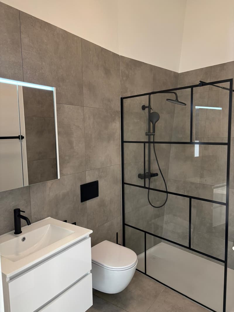 Moderne Gewerbefläche im schönen Menzingen (7)