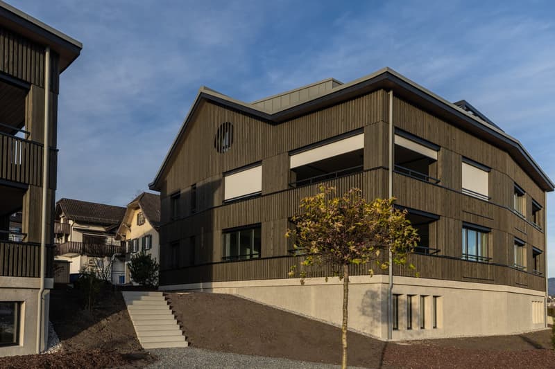Stilvolle 2.5 Zimmerwohnung im Küssnachterhof (10)