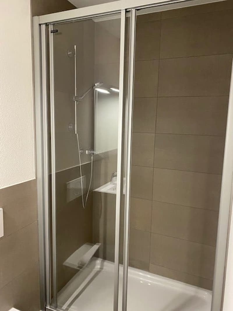 möbliertes Studio mit Balkon an optimaler Lage in Zug (4)