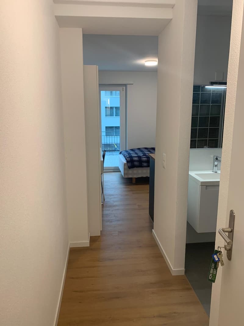 Möbliertes Studio mit Balkon an optimaler Lage in Zug (4)