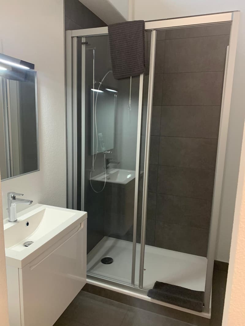 Möbliertes Studio mit Balkon an optimaler Lage in Zug (5)