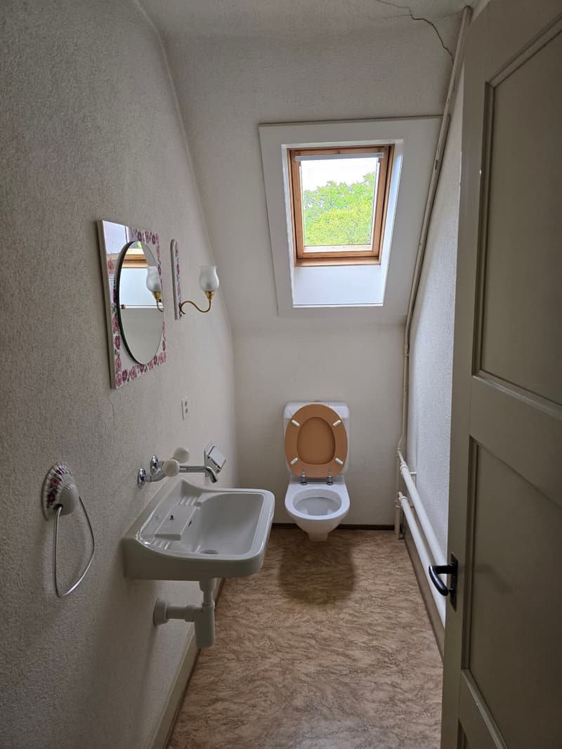 Charmante Altbau-Maisonettewohnung in einer Villa (16)