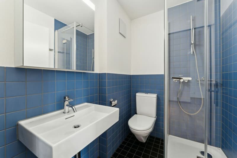 Appartement loft de 1,5 pièces fraîchement rénové (4)