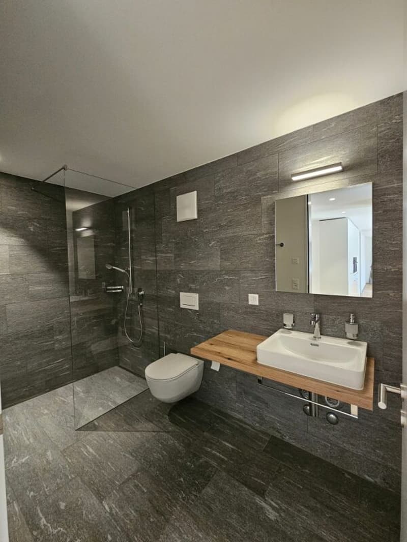 Modern 4.5 room apartment in Tomils (2)