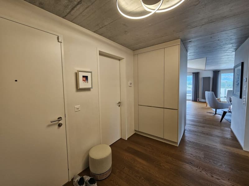 Originelle exklusive Terrassenwohnung in einer attraktiven Wohnlage in Sils i.D. (3)