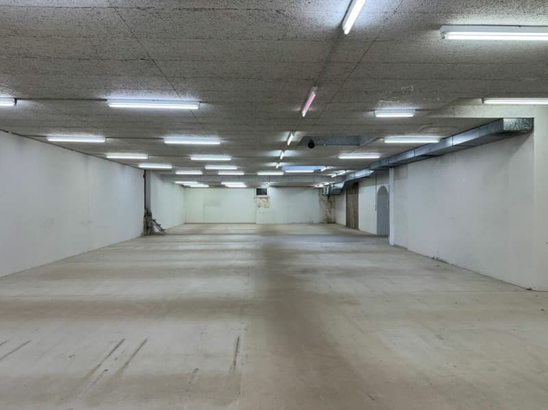 Vielseitige Gewerbefläche an zentraler Lage in Chur (5)