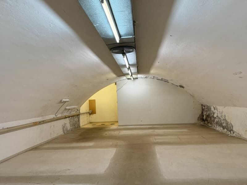 Vielseitige Gewerbefläche an zentraler Lage in Chur (4)