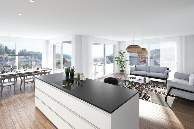 modern kitchen, dining table with chairs, large windows, living room with couches, glass table, plants
