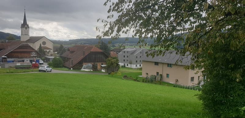 Traditional village houses with steep roofs, surrounded by meadows and fields, a church in the background