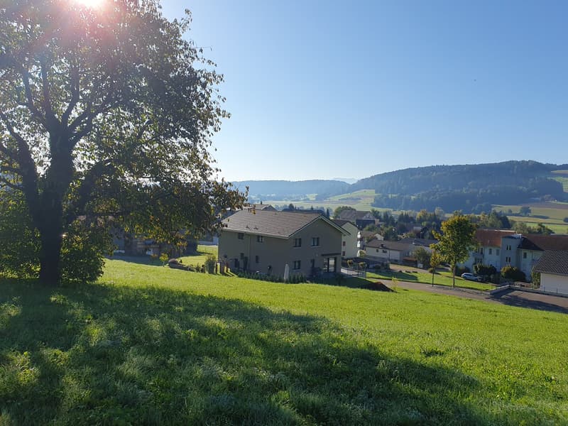 House, with a garden and trees, elevated position, green fields and hills in the background