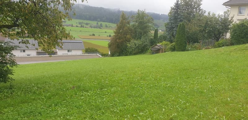 Lawn with trees and plants, a hill behind, a house on the hill, valley in the background, mountains in the distance