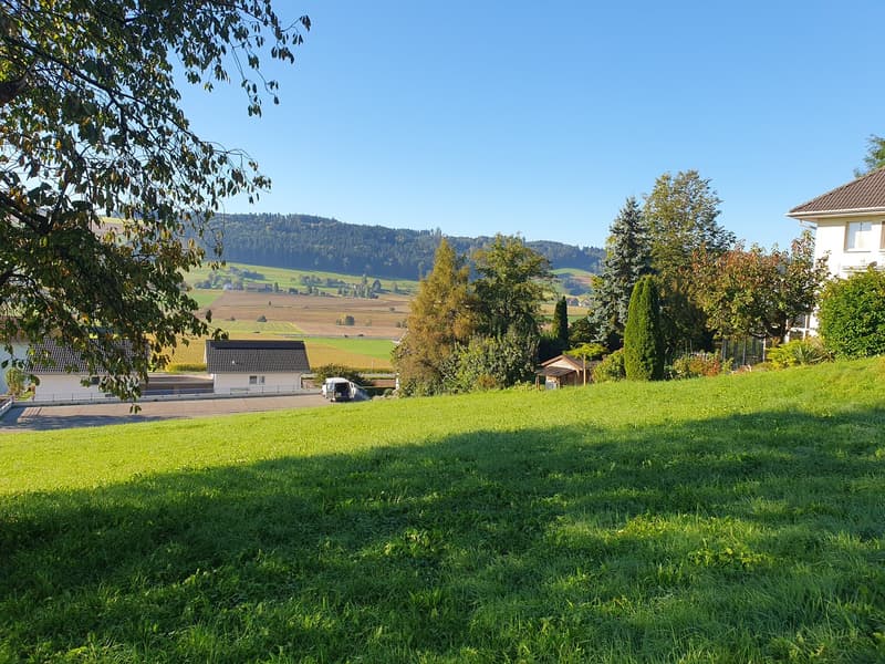 Green lawn, trees, houses, mountains, clear sky