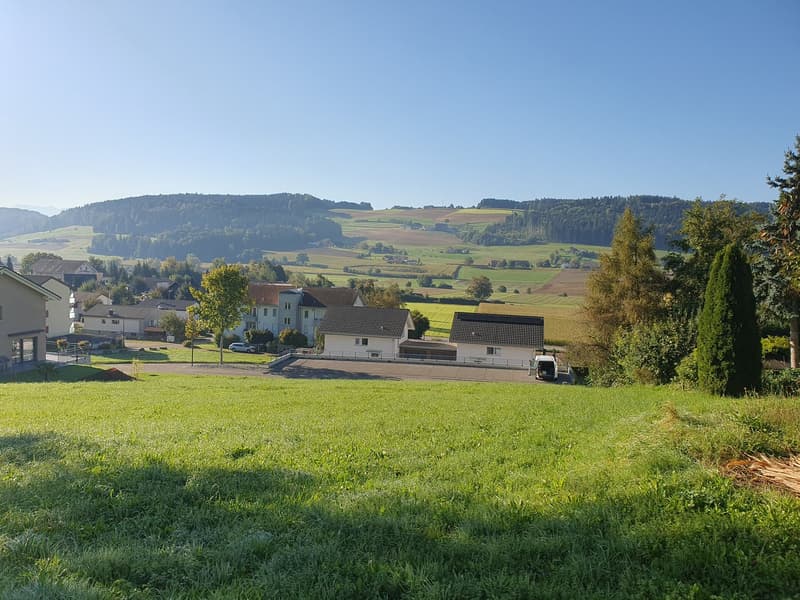 Green grass, trees, houses in the background, mountains in the distance